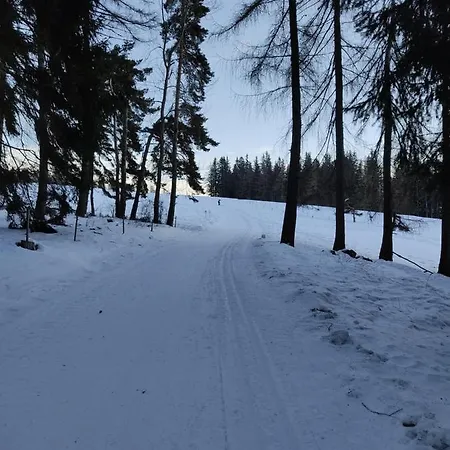 Les Fauvettes Saint-Leger-les-Melezes